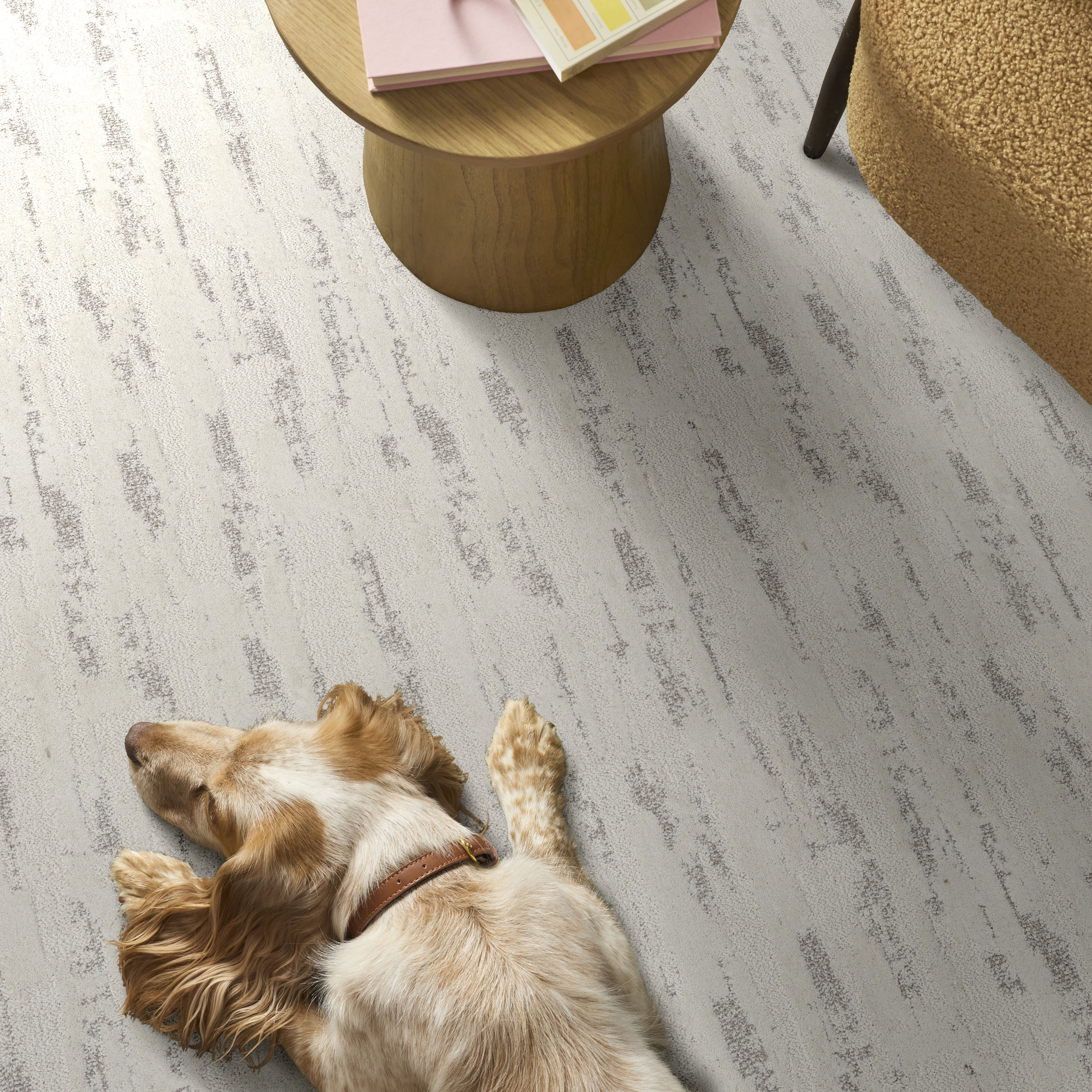 セオリー　フードジャケット　SOFT LAWN GATHER　ホワイトS Tranquil Spirit - Snowfall Carpet | Shaw Floors